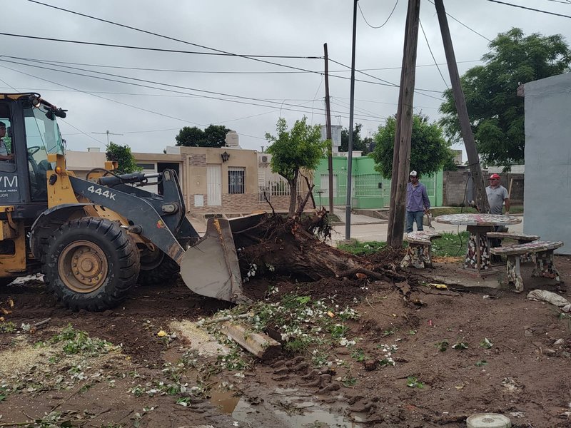 Municipio y prestatarias de servicio trabajan mancomunadamente luego de la tormenta