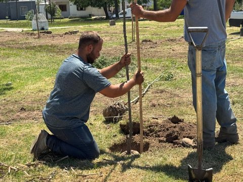 Avanzan las obras de modernización en la Plaza Alfredo Palacios