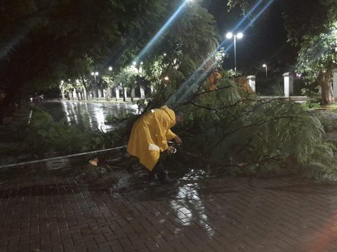 Fuerte accionar de municipio y bomberos por daños ocasionados a causa de la tormenta